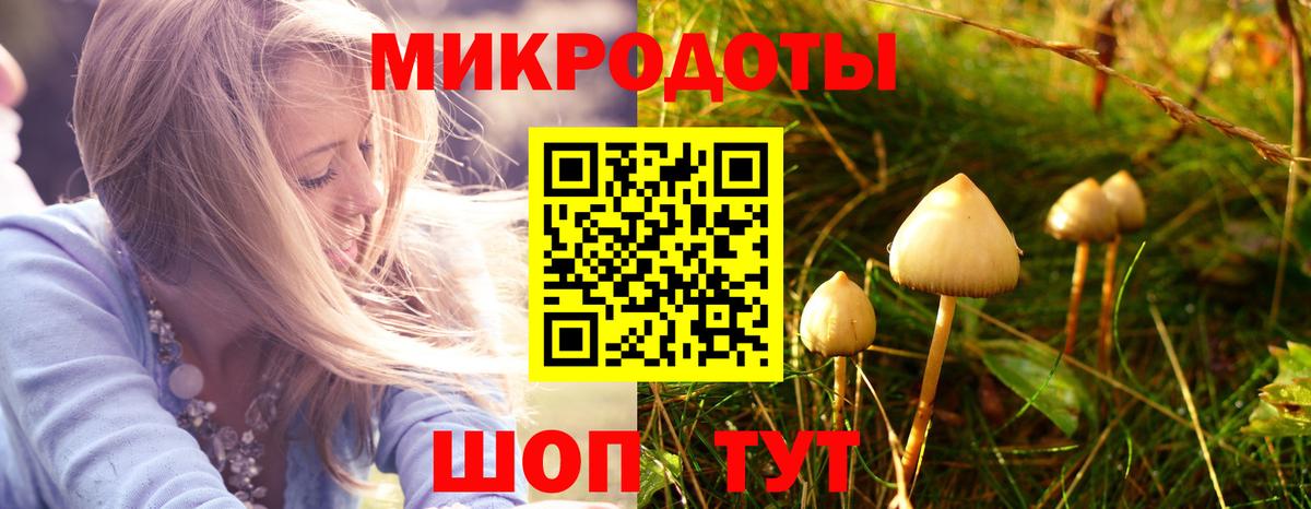 Псилоцибиновые грибы GOLDEN TEACHER Ржев