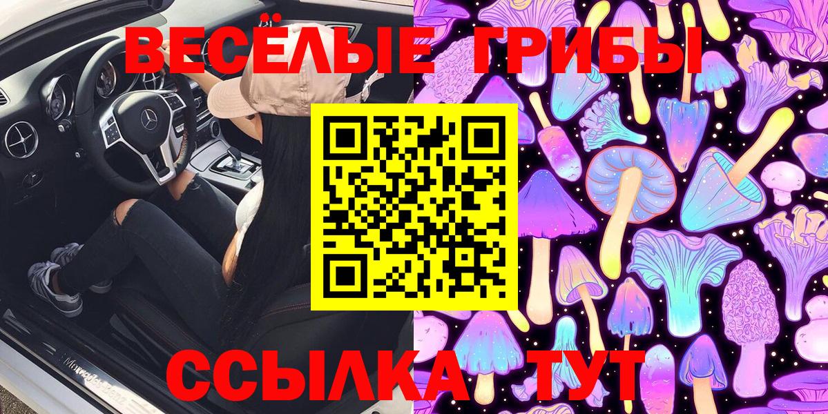 Галлюциногенные грибы MAGIC MUSHROOMS  где можно купить   Вход с VPN  Ржев  Галлюциногенные грибы прущие грибы 